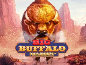 game logo by Skywind Group on whamoocasino.eu.com