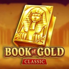 game logo by Playson on whamoocasino.eu.com