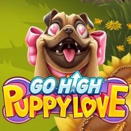 game logo by RubyPlay on whamoocasino.eu.com