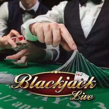 Live Blackjack logo by Pragmatic Live at Whamoo CasinoLive Blackjack